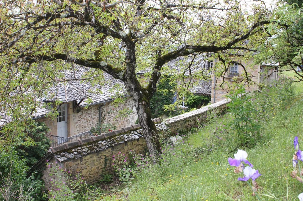 Les Terrasses De Labade Gite Et Chambres D'Hotes Coubisou Bagian luar foto